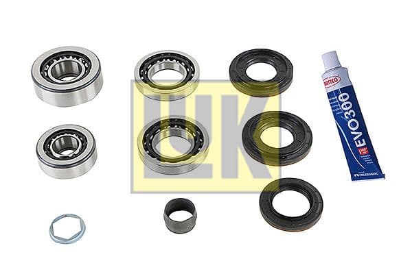 Set reparatie, diferential Schaeffler LuK GearBOX 462 0148 10
