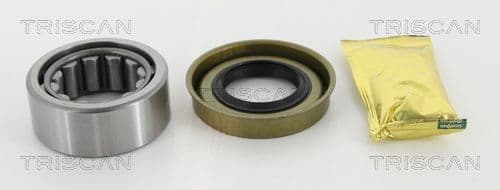 Set rulment roata TRISCAN 8530 16268