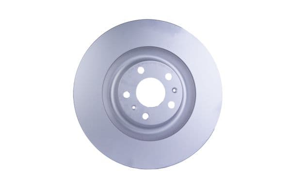 Disc frana HELLA PAGID 8DD 355 109-851
