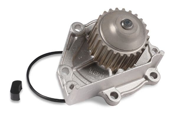 Pompă de apă, răcire motor HEPU P045