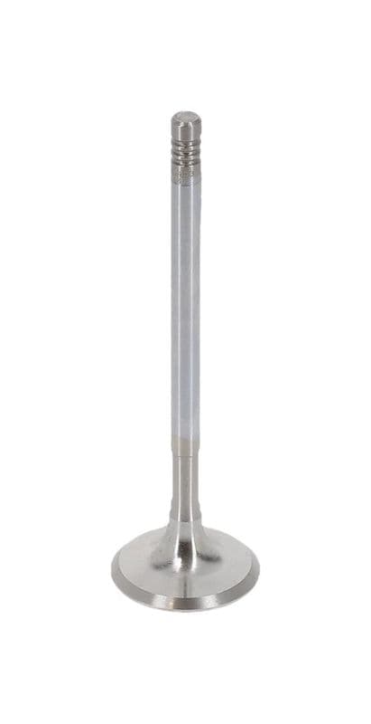 Supapa evacuare AE V94403