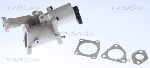 Supapa EGR TRISCAN 8813 24022