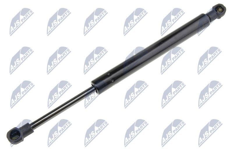 Amortizor portbagaj NTY AE-FR-021