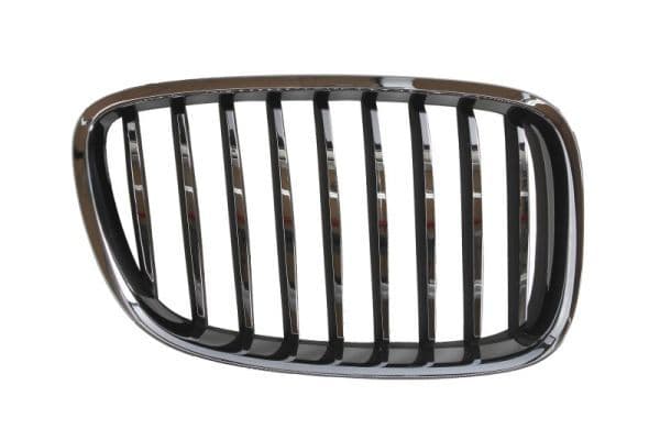 Grila radiator BLIC 6502-07-00679922P