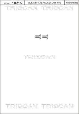 Set surub, disc frana TRISCAN 8105 116012