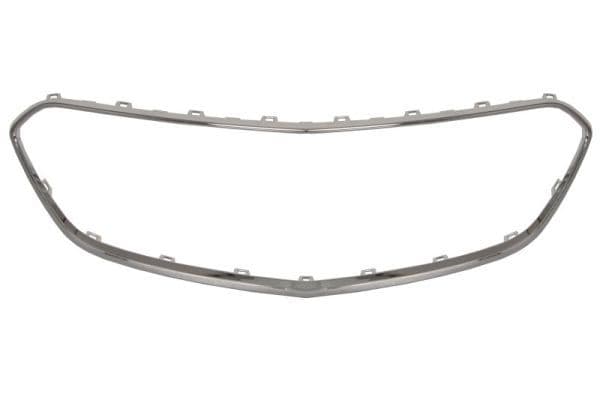 Banda de protectie, grila radiator BLIC 6502-07-5029912P