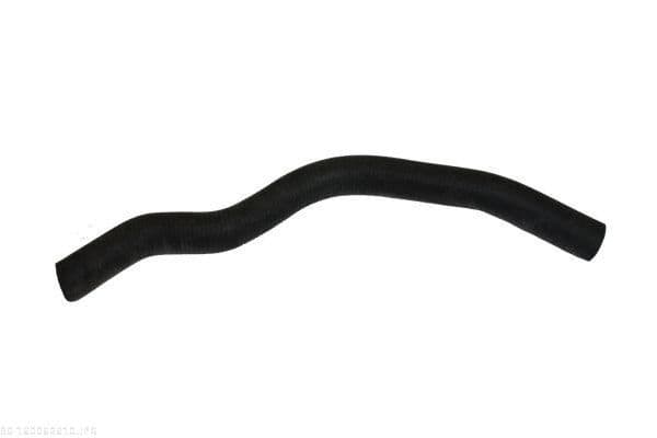 Furtun radiator AUTOMEGA 160062610