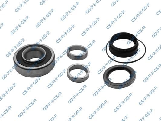 Set rulment roata GSP GKX0023
