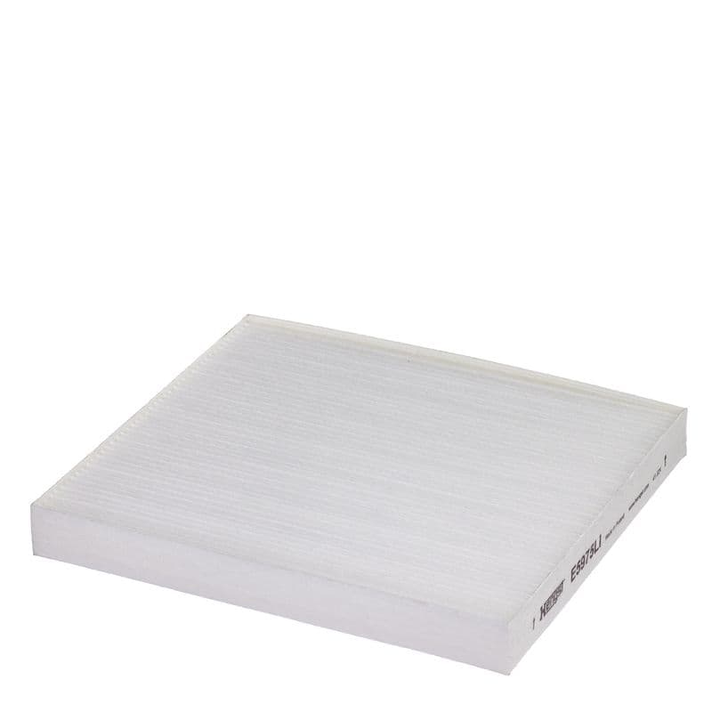 Filtru, aer habitaclu HENGST FILTER E5975LI