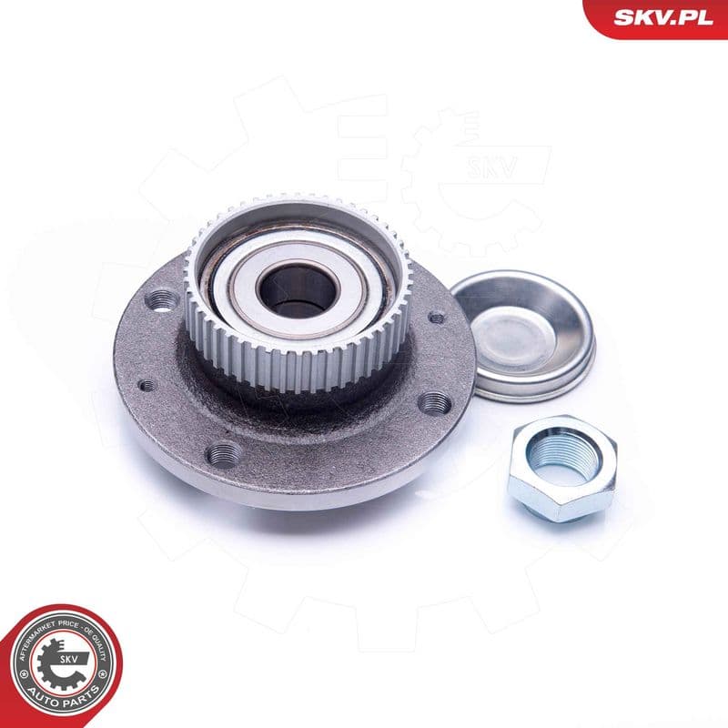 Set rulment roata ESEN SKV 29SKV195