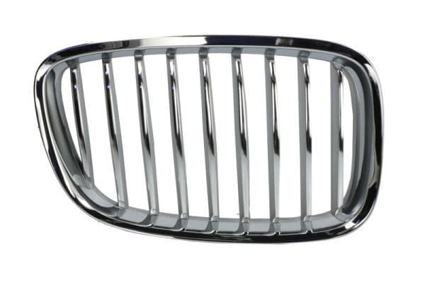 Grila radiator BLIC 6502-07-0067992GP