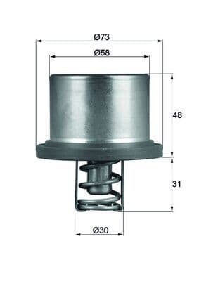 termostat,lichid racire MAHLE BEHR THD 2 89