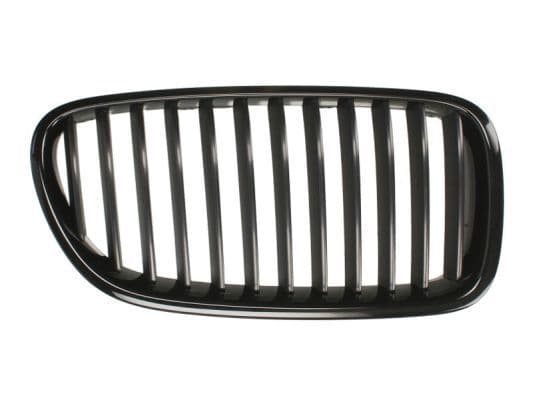 Grila radiator BLIC 6502-07-0067992P
