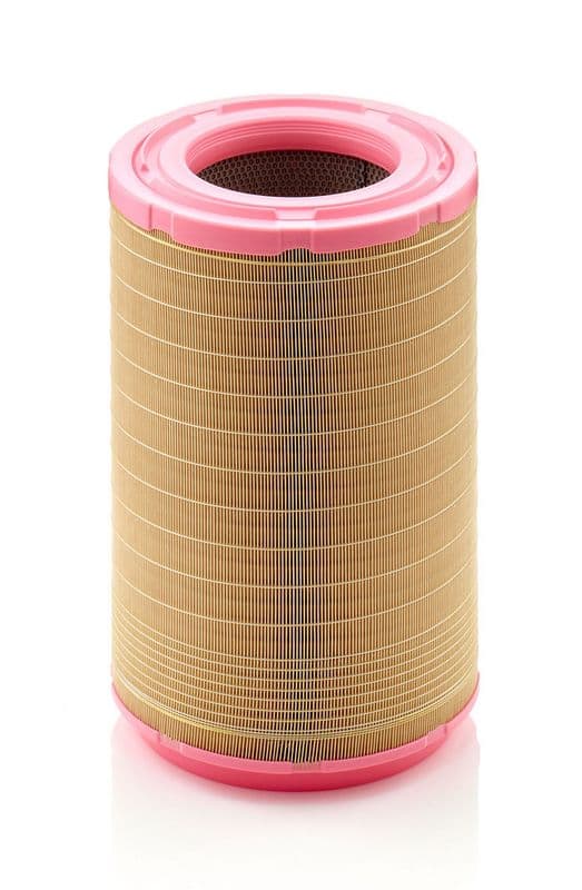 Filtru aer MANN-FILTER C 31 1254