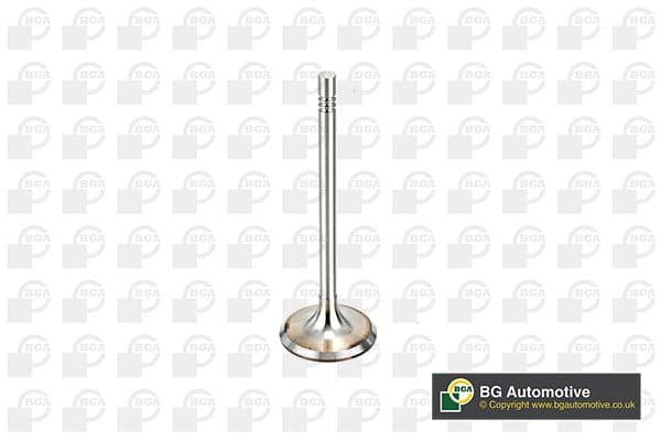 Supapa admisie BGA V164520