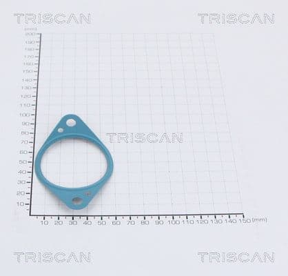 Garnitura TRISCAN 8813 99117
