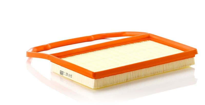 Filtru aer MANN-FILTER C 29 015