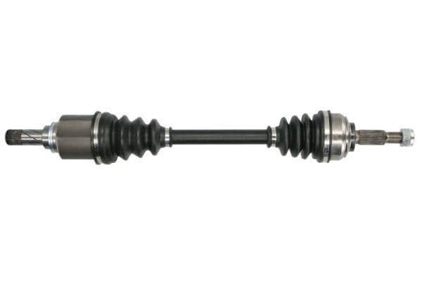 Planetara PASCAL G2R168PC