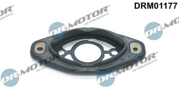Garnitură de etanșare, reglarea arborelui cu came Dr.Motor Automotive DRM01177