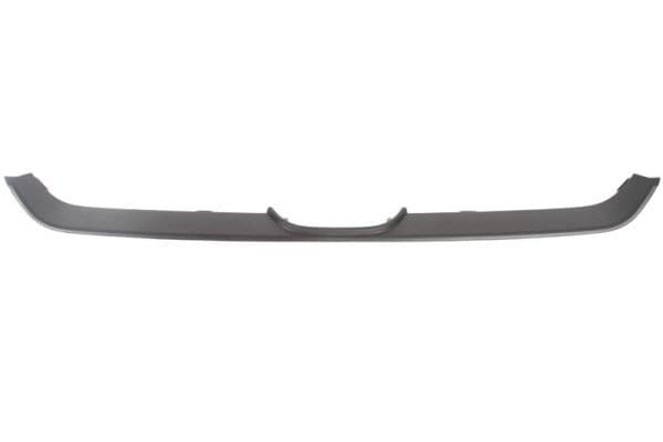 Banda de protectie, grila radiator BLIC 6502-07-2957994P