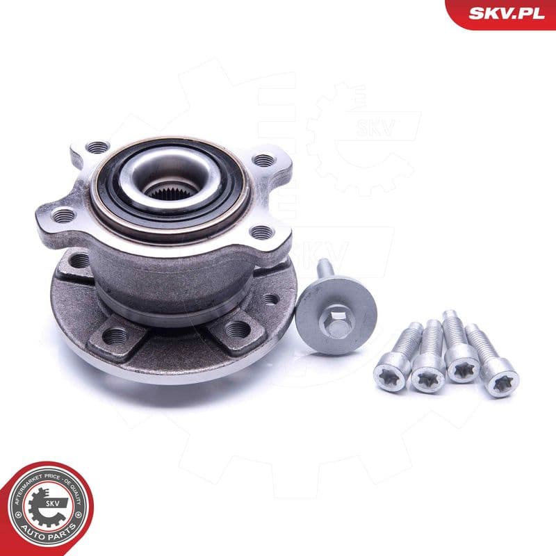 Set rulment roata ESEN SKV 29SKV266