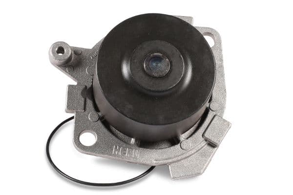 Pompă de apă, răcire motor HEPU P1012