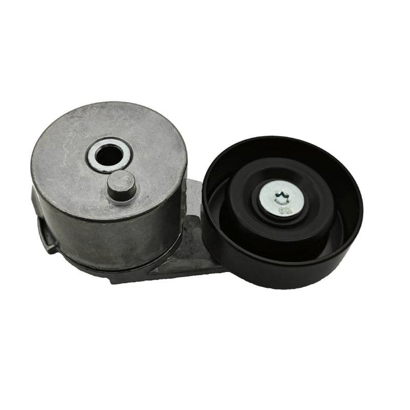 Intinzator curea, curea distributie SKF VKM 35219