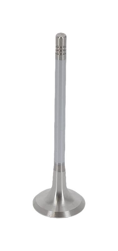 Supapa evacuare AE V94692