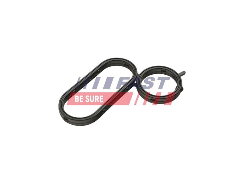 Inel de etanșare, radiator ulei (lubrifiere) FAST FT48944
