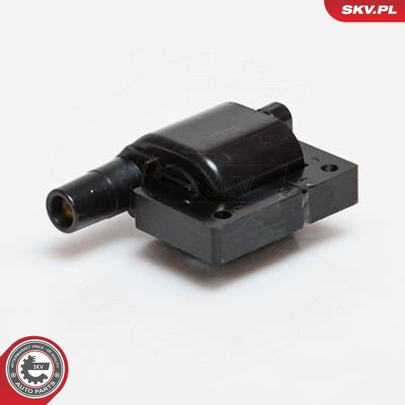 bobina de inductie ESEN SKV 03SKV089