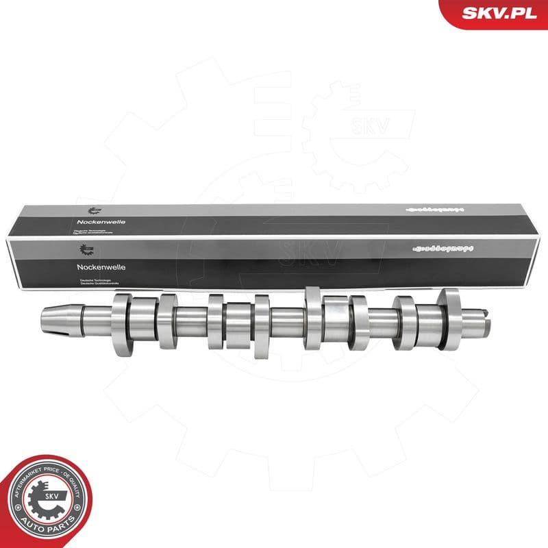 Ax cu came ESEN SKV 80SKV008