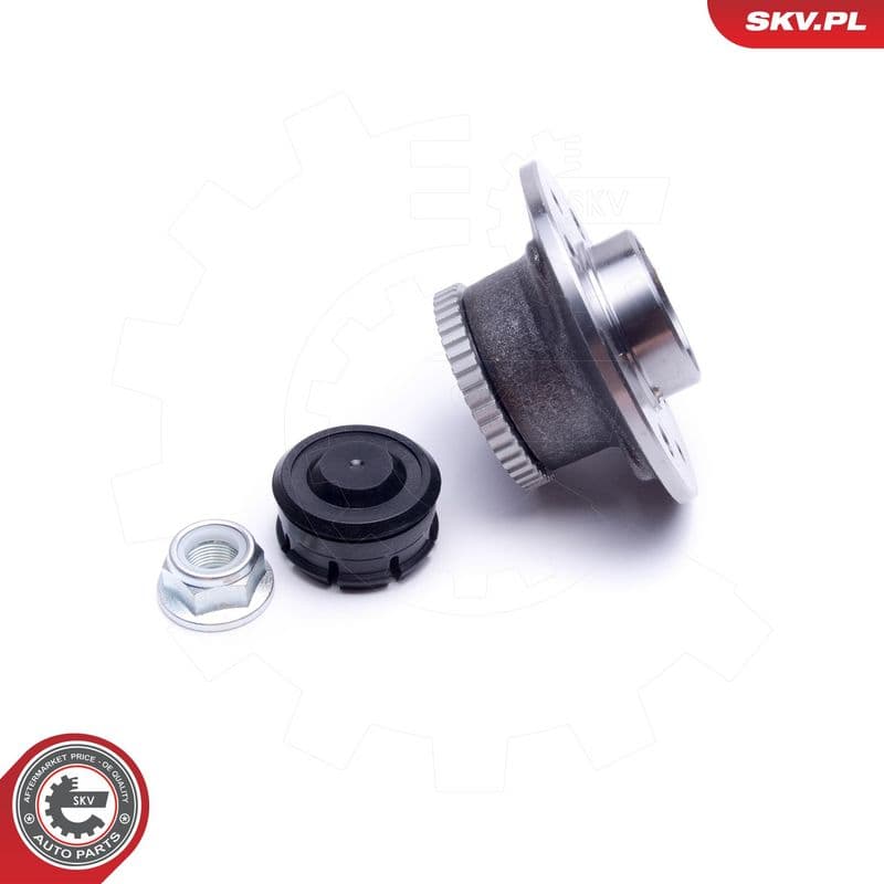 Set rulment roata ESEN SKV 29SKV224