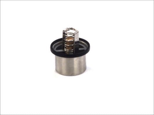 termostat,lichid racire THERMOTEC D2DA001TT
