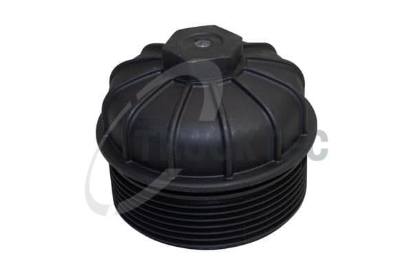 Capac, filtru combustibil TRUCKTEC AUTOMOTIVE 04.38.027