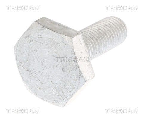 Bolturi fixare, brat suspensie TRISCAN 8501 0520