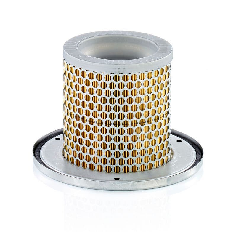 Filtru aer secundar MANN-FILTER C 1342 KIT