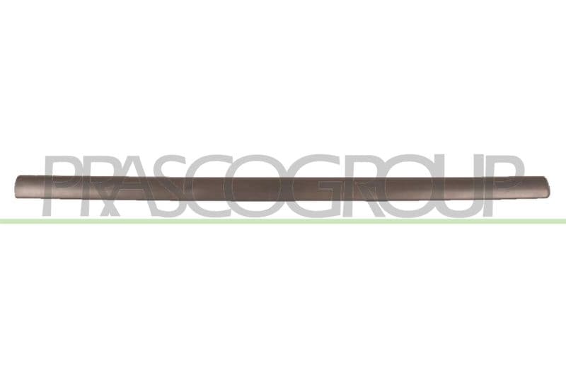 Elemente decorative/protectie, portiera PRASCO OP0171403