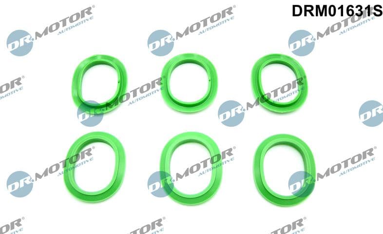 Set garnituri, galerie admisie Dr.Motor Automotive DRM01631S