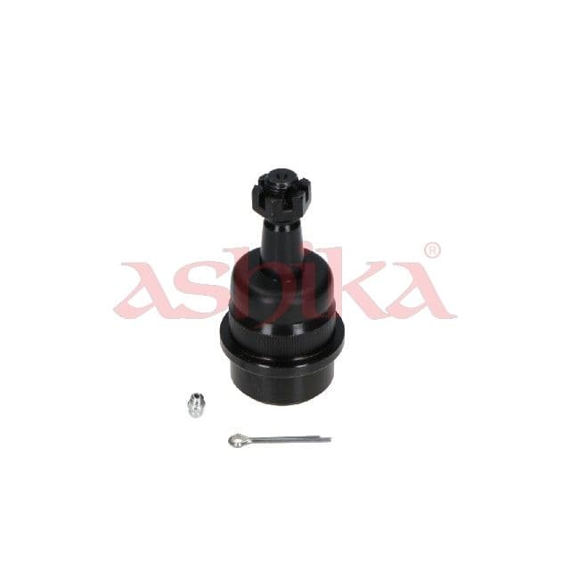 Pivot ASHIKA 111-00-J002
