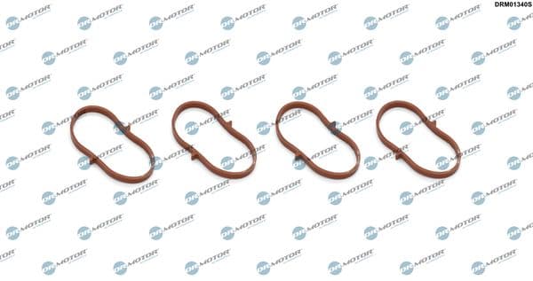 Set garnituri, galerie admisie Dr.Motor Automotive DRM01340S