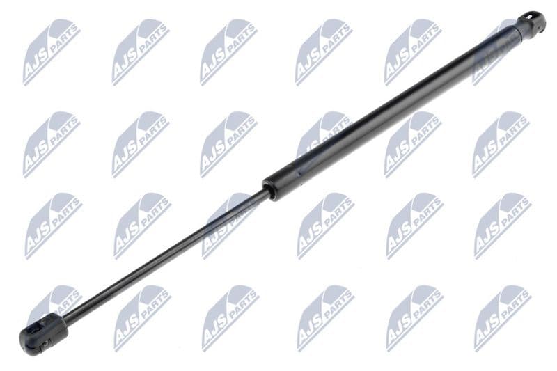 Amortizor capota NTY AE-CT-024