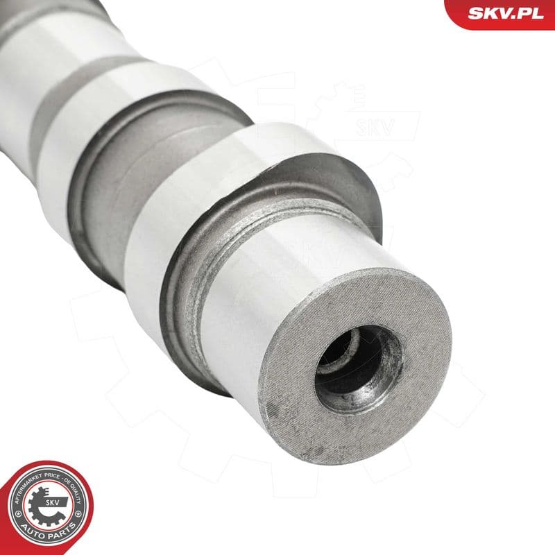 Ax cu came ESEN SKV 80SKV069
