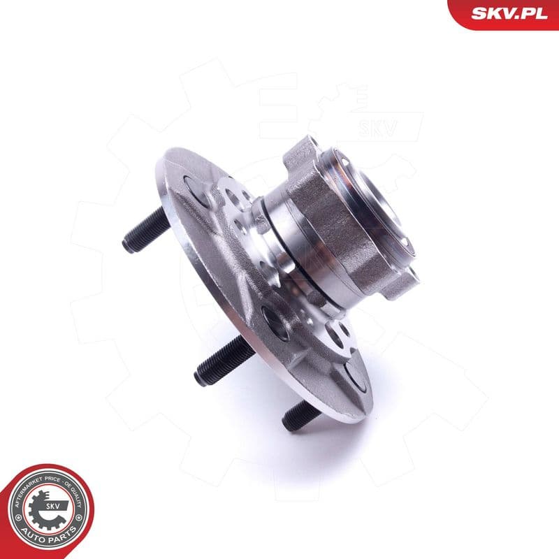 Set rulment roata ESEN SKV 29SKV313
