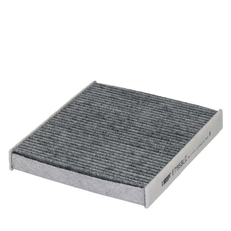 Filtru, aer habitaclu HENGST FILTER E7958LC
