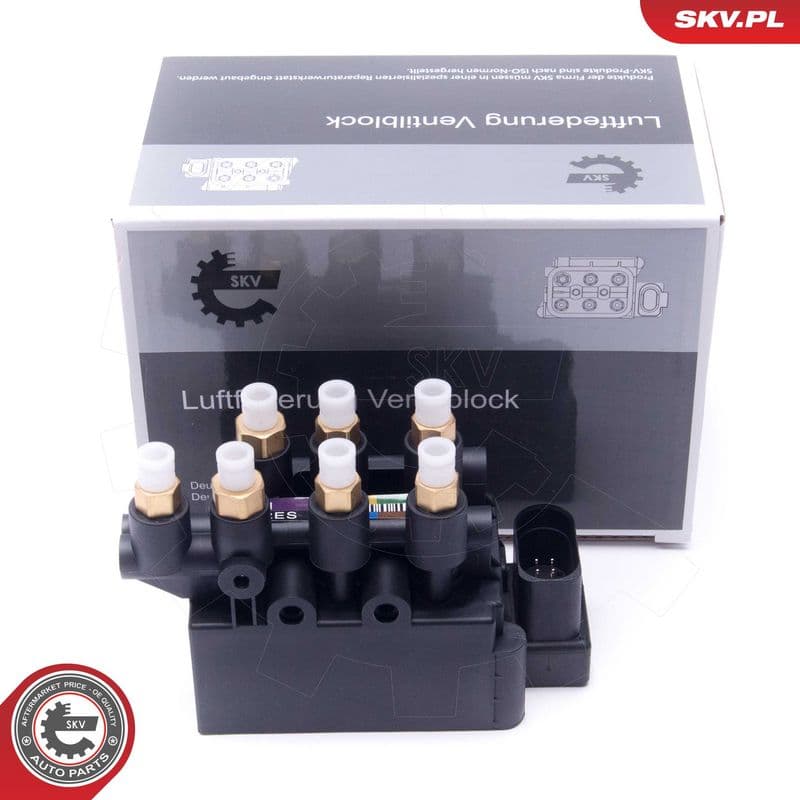 supapa,sistem supraalimentare ESEN SKV 93SKV812