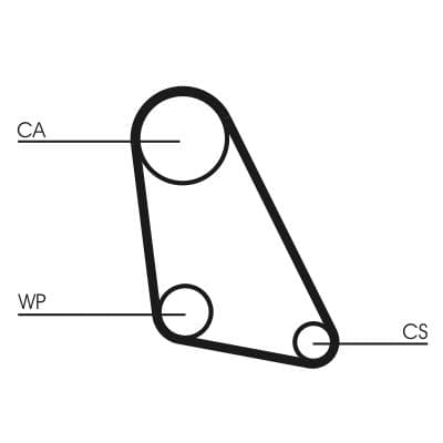 Curea de distributie CONTINENTAL CTAM CT534