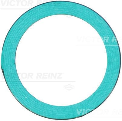 Garnitura, racord evacuare VICTOR REINZ 71-24555-00