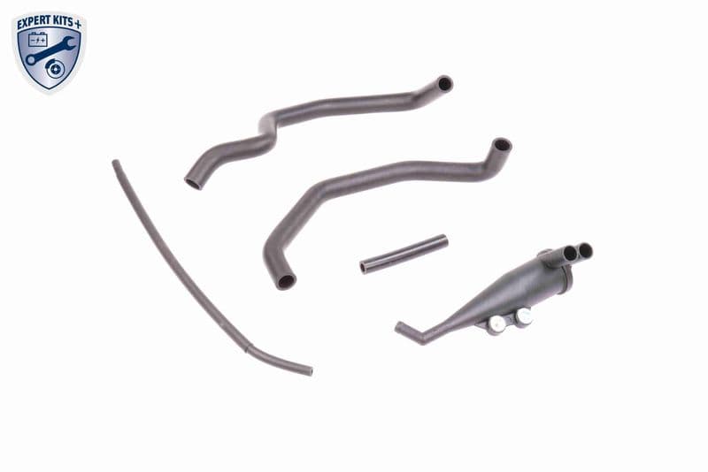 Set reparatie, aerisire baie ulei VAICO EXPERT KITS + V20-0004
