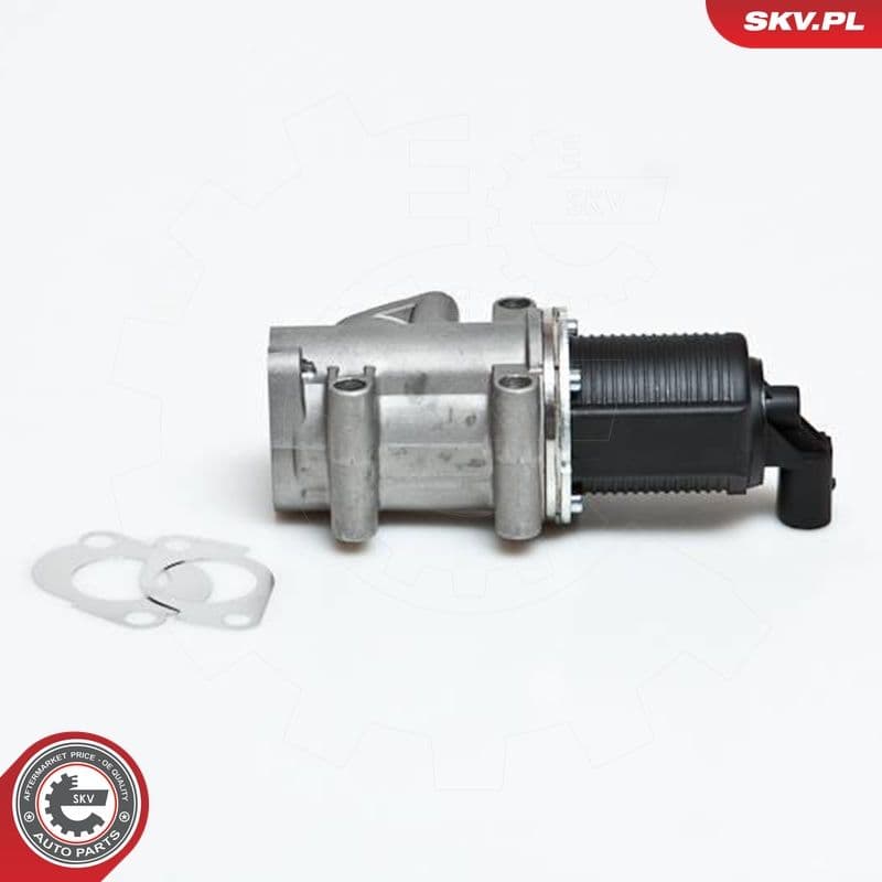 Supapa EGR ESEN SKV 14SKV006