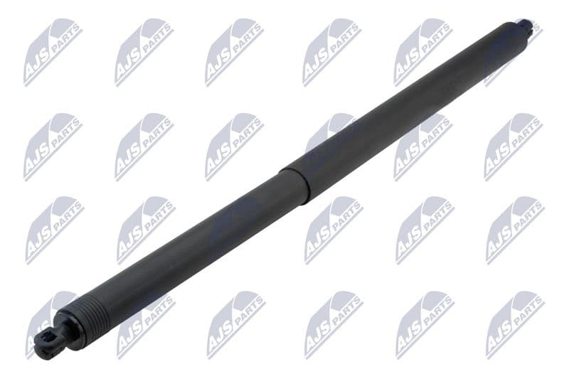 Amortizor portbagaj NTY AE-CH-063